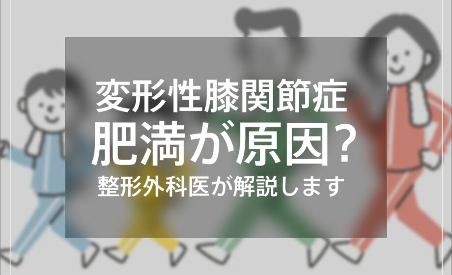 変形性膝関節症は肥満が原因？整形外科医が解説します。