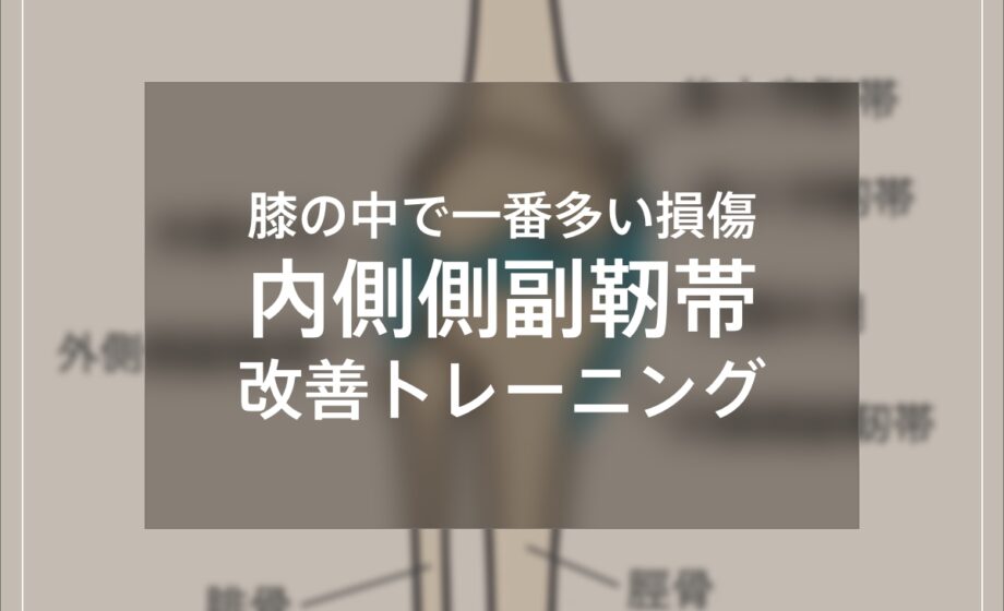 内側側副靱帯損傷を改善するトレーニング